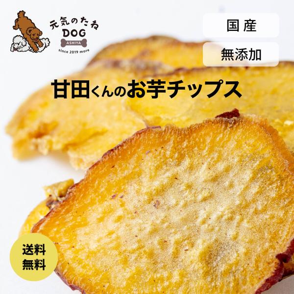 犬 おやつ 国産 無添加 さつま芋チップス 20g お試し 砂糖不使用 さつまいも グルテンフリー ...