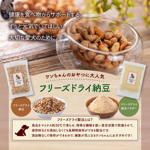 犬 おやつ 無添加 国産 フリーズドライ 納豆 100g 送料無料  犬のおやつ ドライ納豆 なっと...