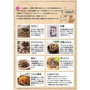 犬 おやつ 無添加 お試し 詰め合わせ 全15...の詳細画像2