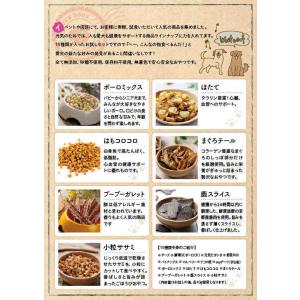 犬 おやつ 無添加 お試し 詰め合わせ 全15...の詳細画像4