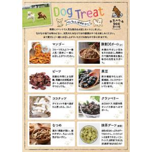 犬 おやつ 無添加 お試し 詰め合わせ 全15...の詳細画像5