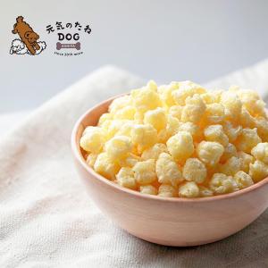 犬 おやつ 無添加 とうもろこし 北海道産 コーンパフ １袋 100g ご褒美 しつけ トレーニング 子犬〜シニア｜元気のたね