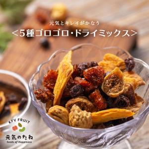 5種 ゴロゴロ ドライフルーツミックス 300g 無添加 砂糖不使用 ノンオイル レーズン ドライマンゴー デーツ いちじく 元気のたね　