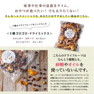 5種 ゴロゴロ ドライフルーツミックス 500...の詳細画像1