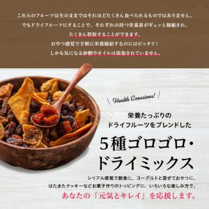 5種 ゴロゴロ ドライフルーツミックス 500...の詳細画像4