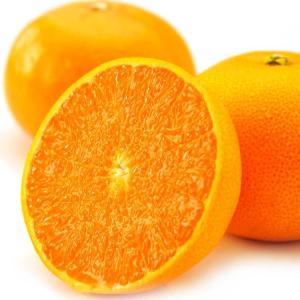 訳あり みかん カラマンダリン お徳用 5kg 旬の産地より