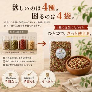 無塩 無添加 4種の元気のたね 小分け 800...の詳細画像1