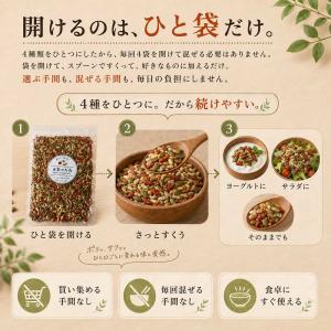 無塩 無添加 4種の元気のたね 小分け 800...の詳細画像3