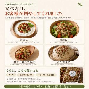 無塩 無添加 4種の元気のたね 小分け 800...の詳細画像5