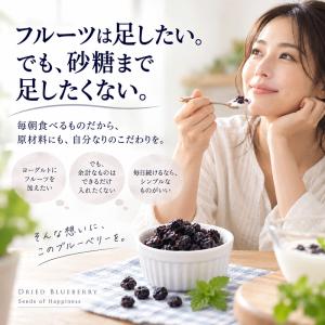 ドライフルーツ 砂糖不使用 無添加 ブルーベリ...の詳細画像1