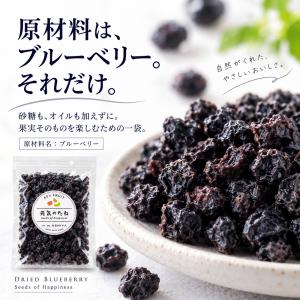 ドライフルーツ 砂糖不使用 無添加 ブルーベリ...の詳細画像2