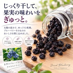 ドライフルーツ 砂糖不使用 無添加 ブルーベリ...の詳細画像3
