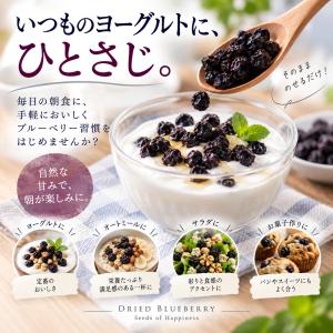 ドライフルーツ 砂糖不使用 無添加 ブルーベリ...の詳細画像4