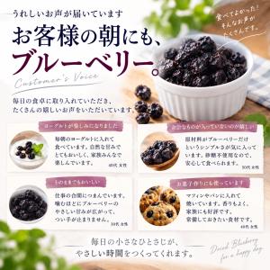 ドライフルーツ 砂糖不使用 無添加 ブルーベリ...の詳細画像5