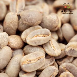 コーヒー 生豆 80g スペシャルティ 珈琲 ブラジル 元気のたね コーヒー 生豆 80g スペシャルティ 珈琲 ブラジル 元気のたね