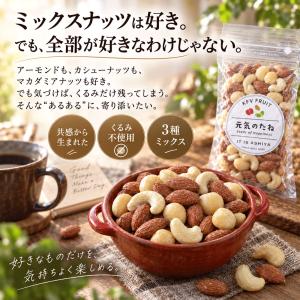 ミックスナッツ 素焼き 無塩 まごころミックス...の詳細画像1