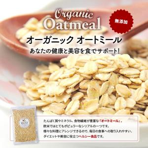 オートミール オーガニック 100g ロールドオーツ 有機