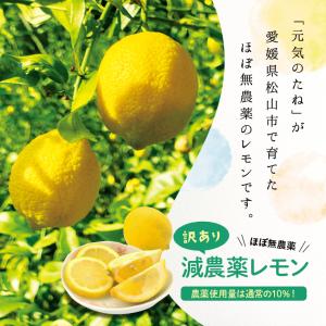 国産レモン ほぼ 無農薬 レモン 1kg 国産 れもん 愛媛県産 減農薬 自家栽培 訳あり 元気のたね