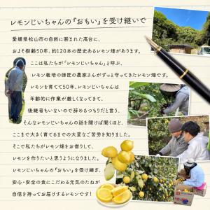 国産レモン ほぼ 無農薬 レモン 10kg 国...の詳細画像2