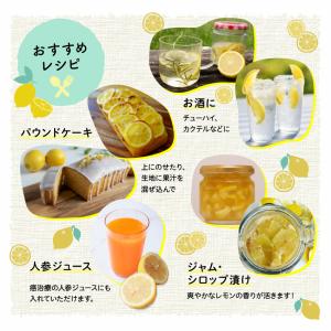 国産レモン ほぼ 無農薬 レモン 10kg 国...の詳細画像3
