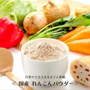 れんこんパウダー 国産 無添加 500g レンコンパウダー レンコン 蓮根 粉末 野菜パウダー
