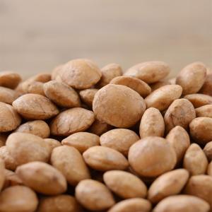 サチャインチナッツ 素焼き 500g ナッツ 無塩 無添加 無油 ロースト 無着色 砂糖不使用 ナッツ無塩 食用 スーパーフード 健康食品 オメガ3 リノレン酸