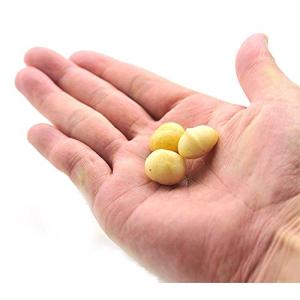 マカダミアナッツ 無塩 素焼き 小分け 800...の詳細画像2