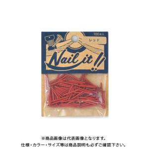 若井産業 NAILIT釘#17×19 100本袋入 レッド NF10012｜kg-maido