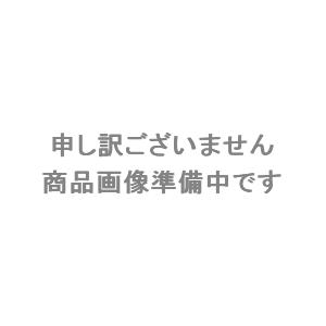 (個別送料3000円)(直送品)城東テクノ Joto 鋼板製 軒天換気材 壁際タイプ用 入隅 ブラッ...