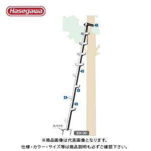 (送料別途)(直送品)ハセガワ 長谷川工業 枝打はしご EH-30 10111