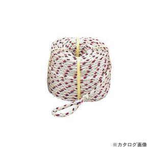 Amazon | TOYO ベルト荷締機 両端アイ形 No.5020 25mm幅 固定1m