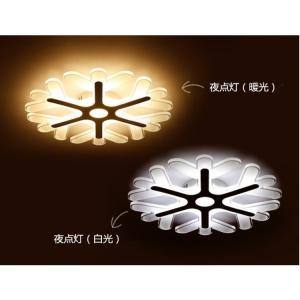 Panasonic（パナソニック） Panasonic HH-CD1292A LEDシーリングライト