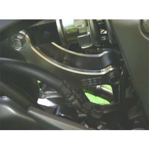 Kawasaki Ninja1000、Ninja1000SX 20mmローダウンセット EFFEX