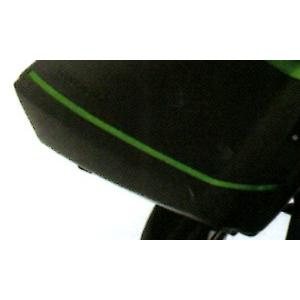 Kawasaki　Ｎｉｎｊａ１０００ＡＢＳ ('17-)　パニアケースストライプ（左右セット）　Ｊ999940423