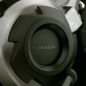 Kawasaki　Ｎｉｎｊａ１０００ＡＢＳ ('17-)　クランクケースリング　999940951