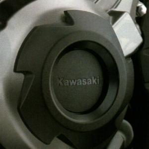 Kawasaki　Ｎｉｎｊａ１０００ＡＢＳ ('17-)　クランクケースリング　999940951｜kgsriverside