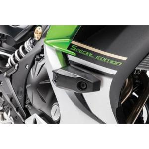 Z650 NINJA 2017〜 リア スタントケージ ガード CRAZY IRON カワサキ