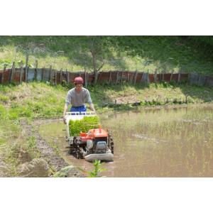 軽快ソフト4630 先丸 SS、S、M、L、L...の詳細画像2