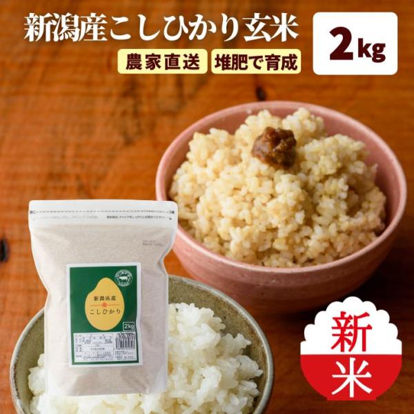 新米 2kg 令和7年産 玄米 2kg 新潟県産 コシヒカリ 令和6年 新潟 こしひかり 米2kg ...