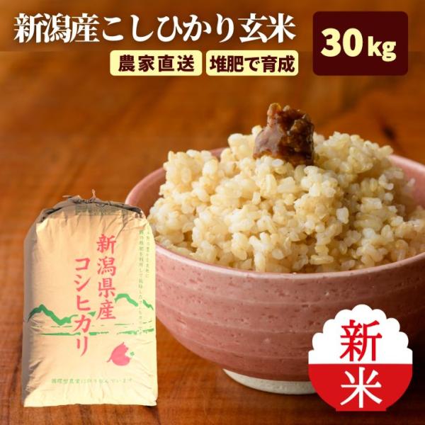 5年産 米 新潟 コシヒカリ 玄米 30kg コシヒカリ 通販 こしひかり 玄米 30kg 減農薬 ...