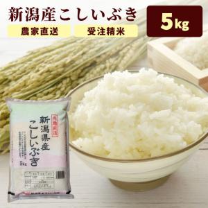 【10月再販予定】米 ギフト プレゼント 令和7年 米 5kg 新潟産 こしいぶき 令和6年産 受注精米 冷めてもおいしい 米 白米 精米 農家 直送 生産者 米5kg