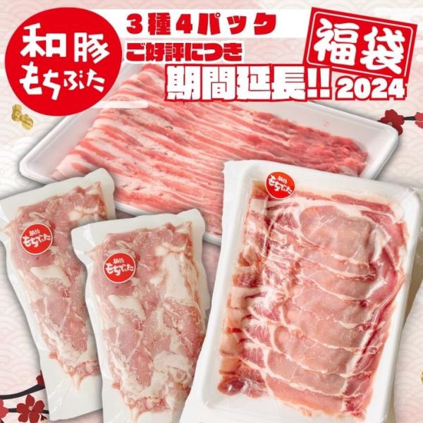 福袋 2024 豚肉 お試し 1.1kg 新潟 和豚もちぶた ロース バラ しゃぶしゃぶ 焼肉 切り...