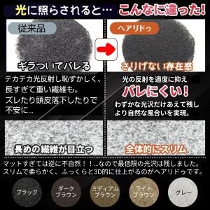増毛パウダー 薄毛ヘアパウダー 105g スプ...の詳細画像2