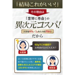 60g パフ型 ヘアファンデーション専用 詰め...の詳細画像4