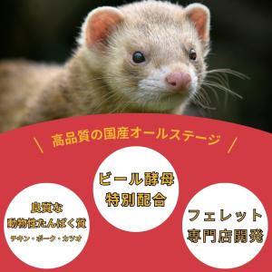 フェレット フード ジャパンフェレミアム 1....の詳細画像2