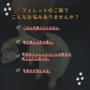 フェレット フード ジャパンフェレミアム 1....の詳細画像1