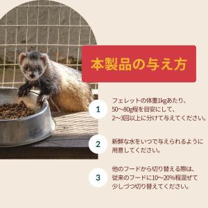 フェレット フード ジャパンフェレミアム 1....の詳細画像3