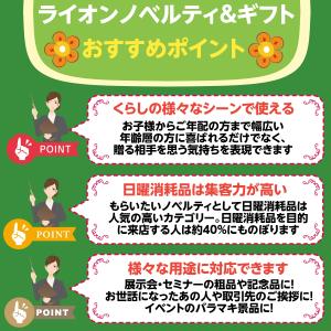 【2枚入×10袋セット】ライオン 足すっきりシ...の詳細画像2