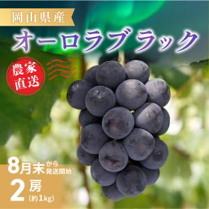 【岡山県産】オーロラブラック(2房 約1kg)秀...の商品画像