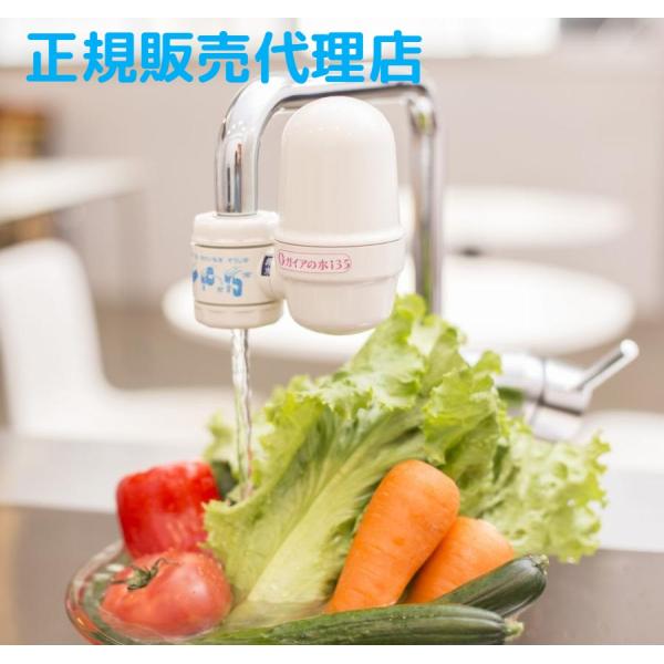 ガイアの水135　蛇口用浄水器　 ビビアン　【正規品】